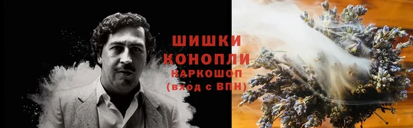 mdpv Белокуриха