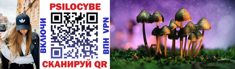 мега как войти  Красный Кут  Галлюциногенные грибы Magic Shrooms 